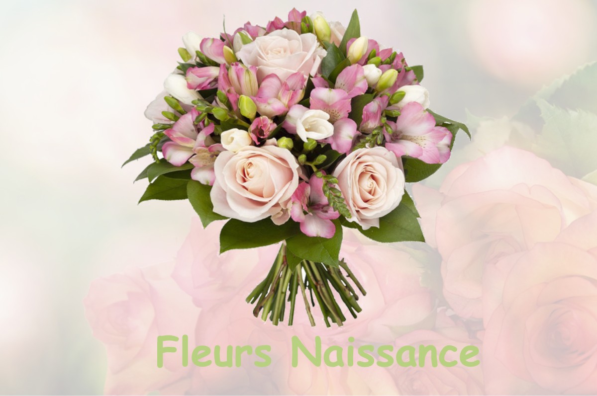 fleurs naissance FRESNEY-LE-VIEUX